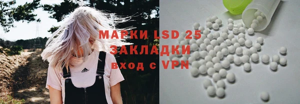 гашик Алексин