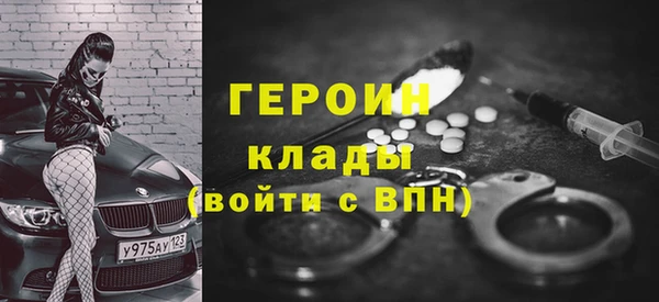 гашик Алексин