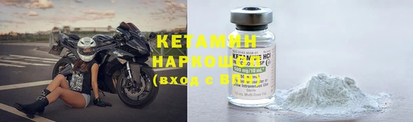 гашик Алексин