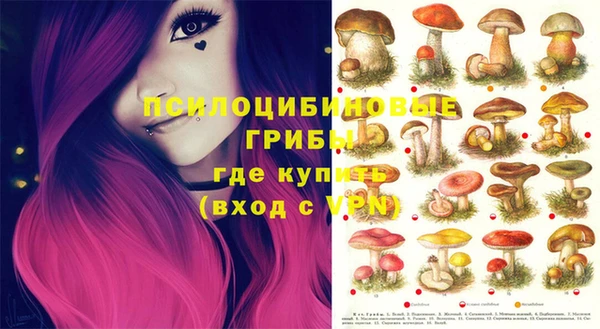 ГАЛЛЮЦИНОГЕННЫЕ ГРИБЫ Алексеевка