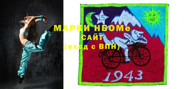 гашик Алексин