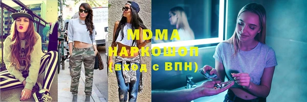 гашик Алексин