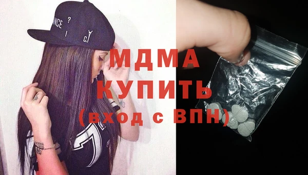 гашик Алексин