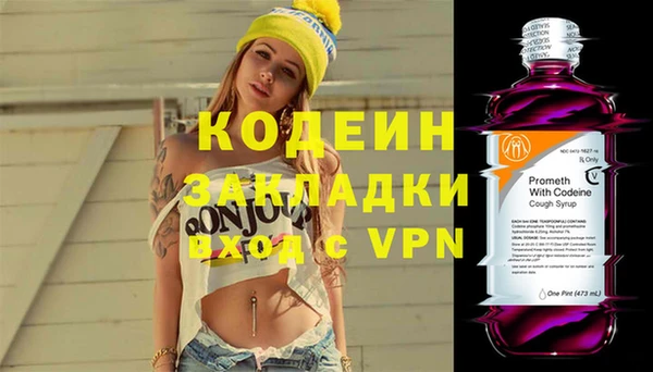 гашик Алексин