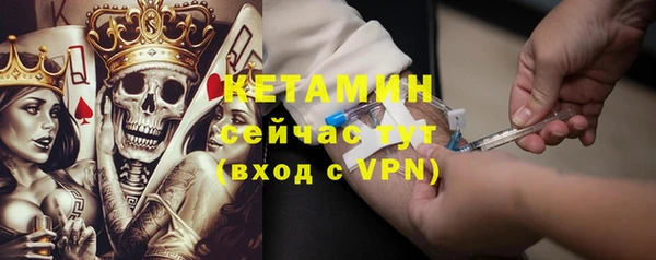 гашик Алексин