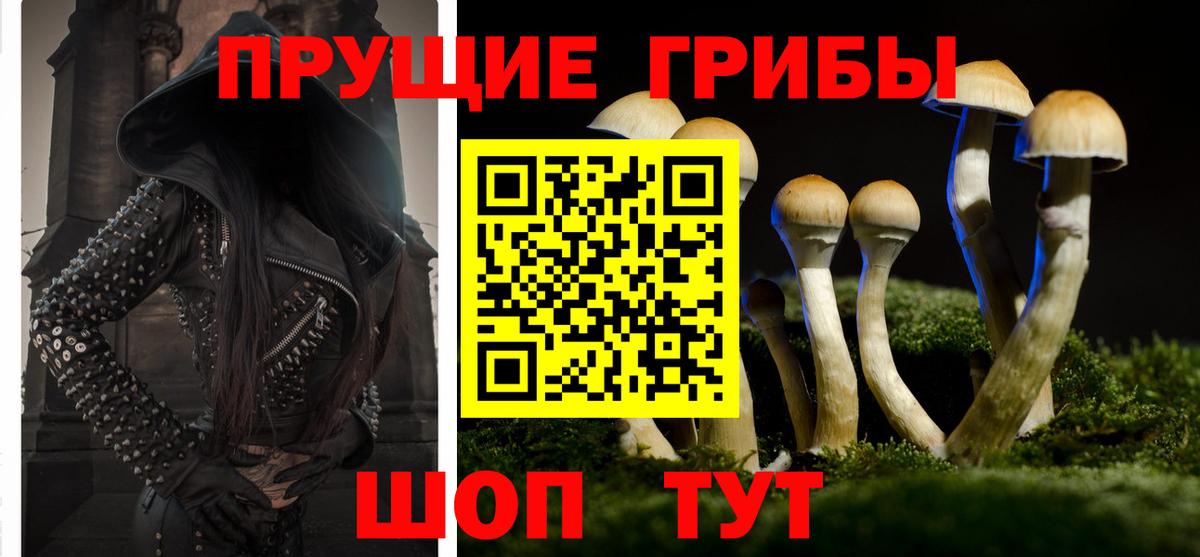 Магадан  Галлюциногенные грибы мухоморы  Вход с VPN  Псилоцибиновые грибы Psilocybine cubensis 
